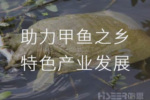 走近空氣能熱泵工程實地 助力常德甲魚之鄉(xiāng)特色產(chǎn)業(yè)發(fā)展